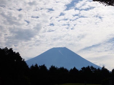 朝の散歩中に見た富士山。朝霧高原から見る富士山は大きいです。