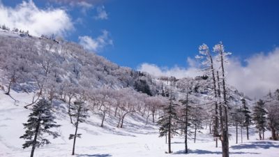 雪の少ない今年は3月の連休に滑れるスキー場は限られていました