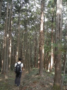 登山道