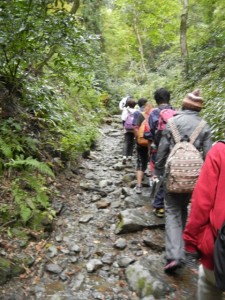 高尾山登山