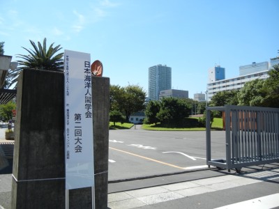 台風が近寄りつつある東京も両日とも快晴でした