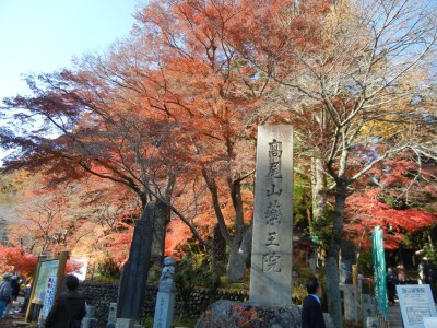 まさに紅葉の見頃でした！平日だというのに人がいっぱいです