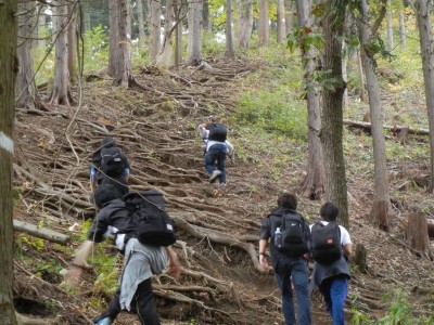 今年のゼミ生は全員男子ということもあり、直登コースを果敢に攻めていました