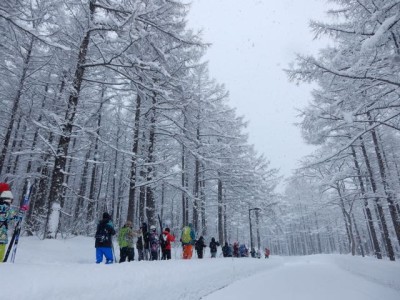 雪が少ないなりに、またいつもとは違った発見がありました